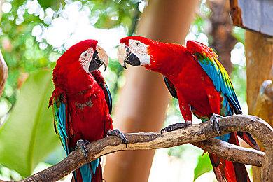 无处可逃！搞怪沙盒游戏《持枪松鼠》发布全新预告